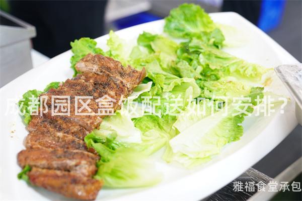 成都園區盒飯配送如何安排？