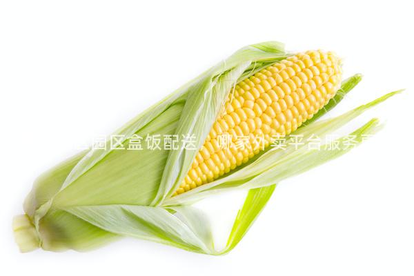 成都成華區園區盒飯配送，哪家外賣平臺服務更快？