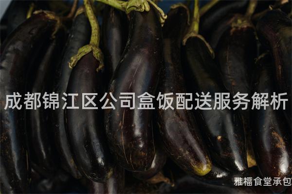成都錦江區公司盒飯配送服務解析