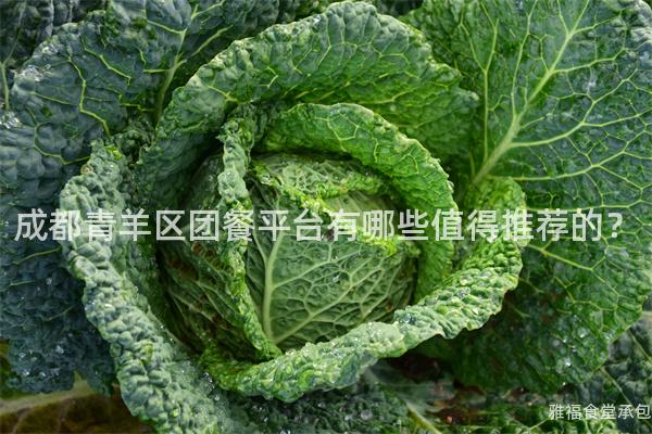 成都青羊區(qū)團(tuán)餐平臺(tái)有哪些值得推薦的？