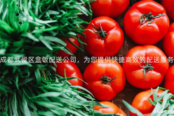 成都武侯區盒飯配送公司，為您提供快捷高效的配送服務