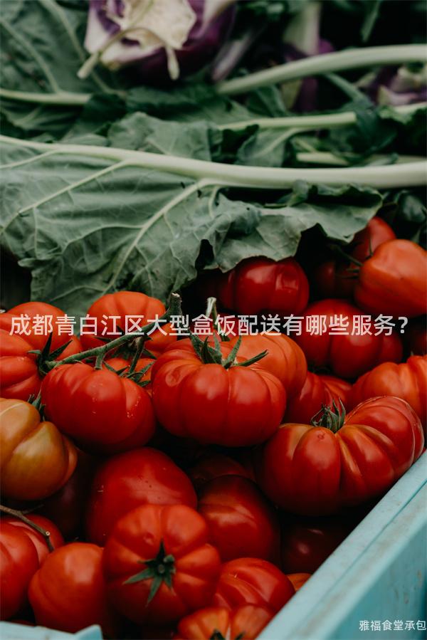 成都青白江區(qū)大型盒飯配送有哪些服務？