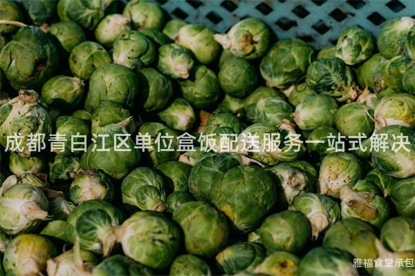成都青白江區(qū)單位盒飯配送服務(wù)一站式解決