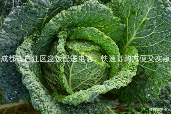 成都青白江區盒飯配送電話，快速訂購方便又實惠