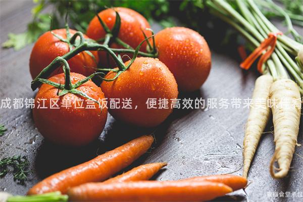 成都錦江區(qū)單位盒飯配送，便捷高效的服務帶來美味佳肴