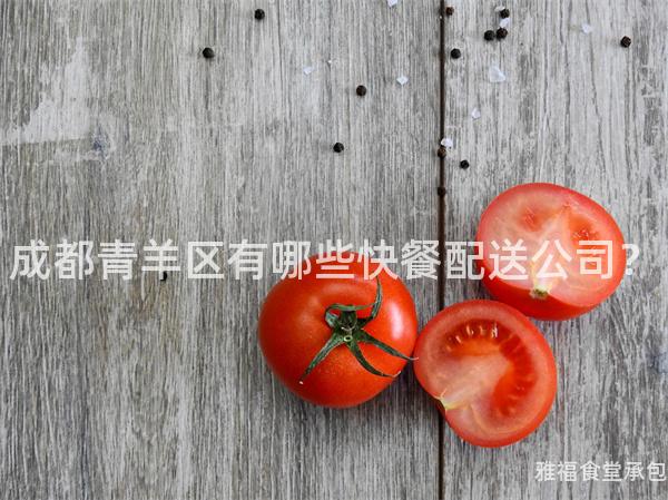 成都青羊區(qū)有哪些快餐配送公司？