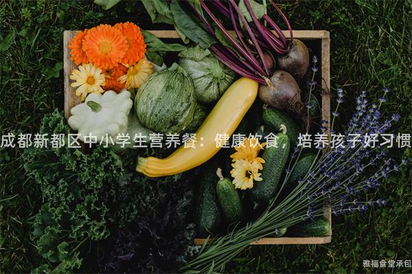 成都新都區中小學生營養餐：健康飲食，培養孩子好習慣