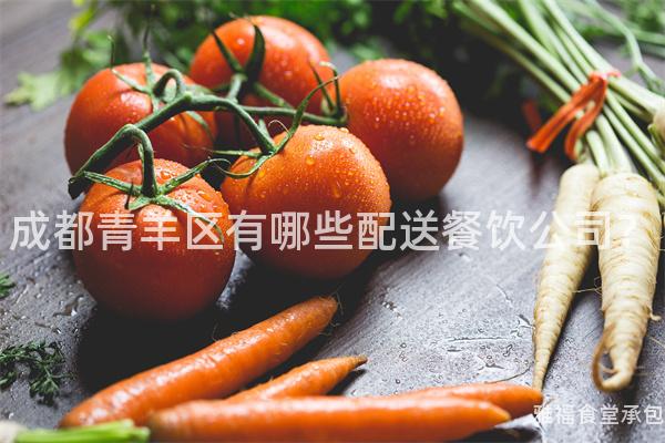 成都青羊區(qū)有哪些配送餐飲公司？