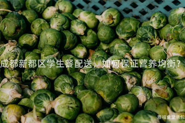 成都新都區(qū)學(xué)生餐配送，如何保證營養(yǎng)均衡？