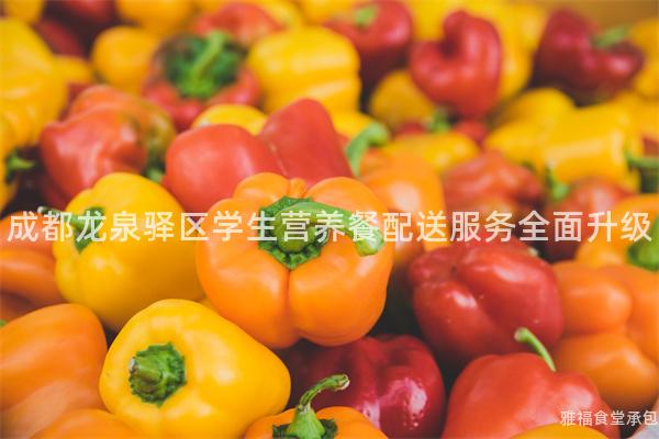 成都龍泉驛區學生營養餐配送服務全面升級