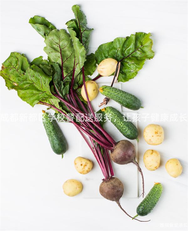 成都新都區(qū)學(xué)校餐配送服務(wù)，讓孩子健康成長(zhǎng)