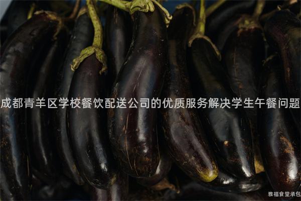 成都青羊區學校餐飲配送公司的優質服務解決學生午餐問題