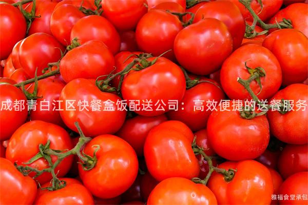 成都青白江區快餐盒飯配送公司：高效便捷的送餐服務
