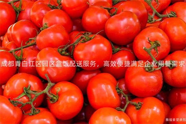成都青白江區園區盒飯配送服務，高效便捷滿足企業用餐需求