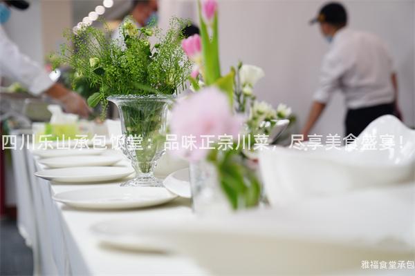 四川樂山承包飯?zhí)茫浩肺墩诖ú耍M享美食盛宴！