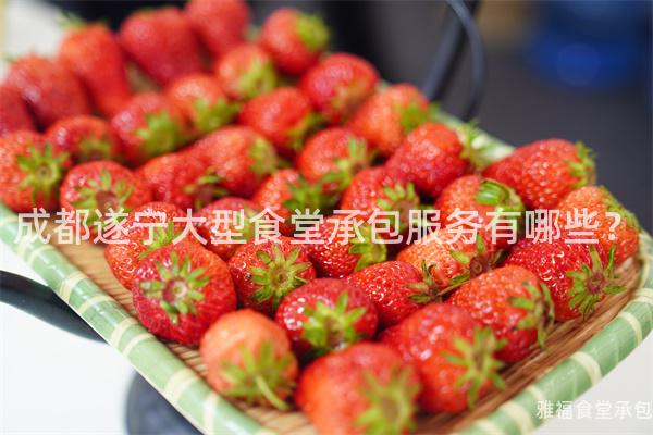 成都遂寧大型食堂承包服務(wù)有哪些？