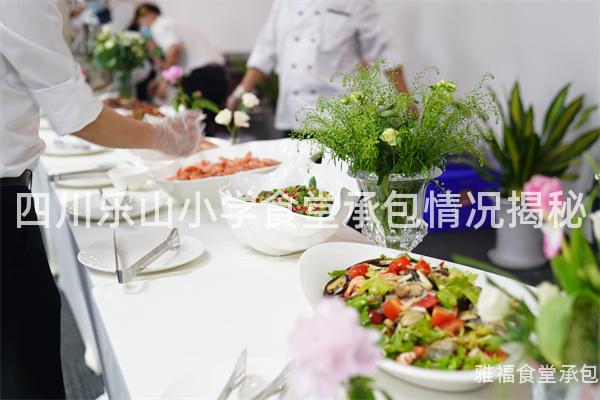 四川樂山小學(xué)食堂承包情況揭秘