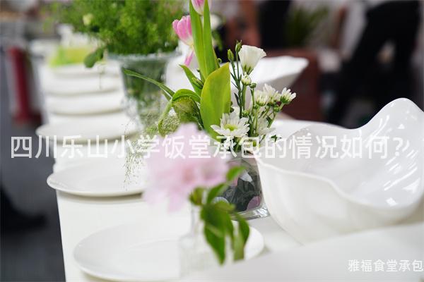 四川樂山小學飯?zhí)贸邪那闆r如何？