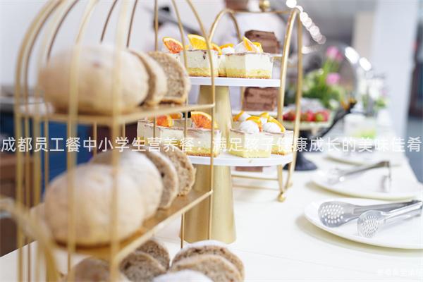 成都員工餐中小學(xué)生營養(yǎng)餐：滿足孩子健康成長的美味佳肴