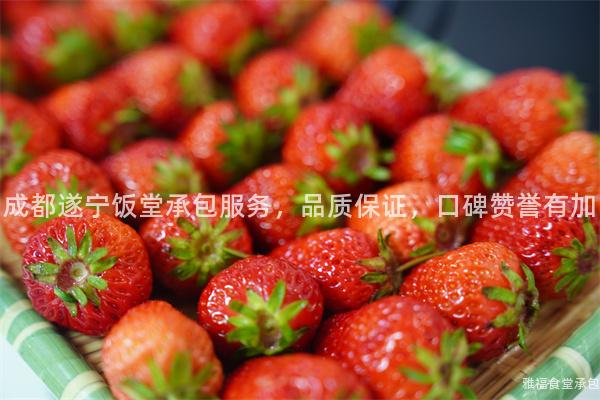 成都遂寧飯堂承包服務，品質保證，口碑贊譽有加